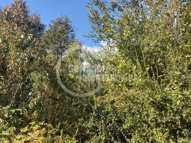 maravillosa Parcela venta Pucón camino al Volcán condominio - Imagen 4