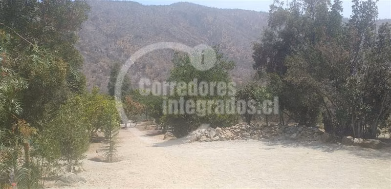 Parcela en venta en Curacaví
