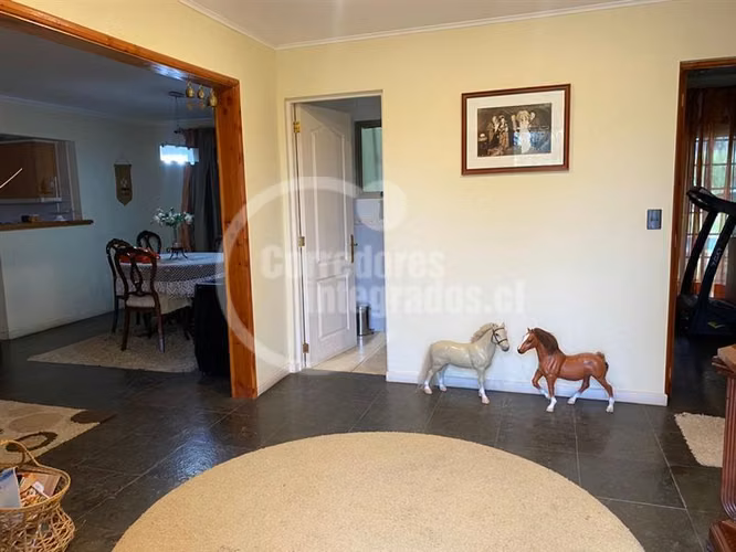 Parcela en venta en Isla de Maipo, con casa , y piscina - Imagen 10