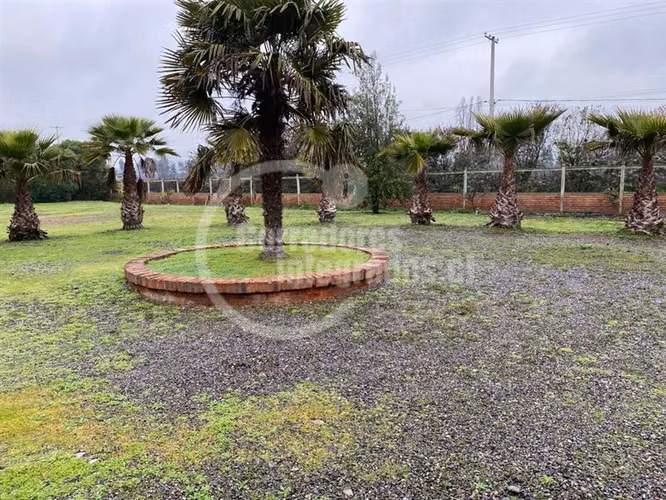 Parcela en venta en Isla de Maipo, con casa , y piscina - Imagen 5