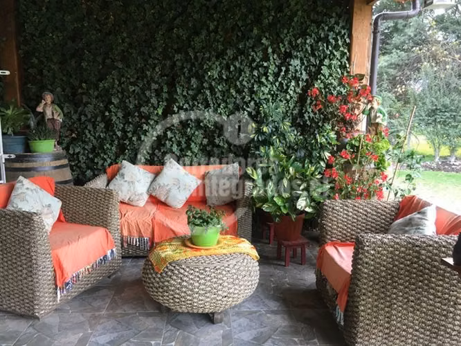 Parcela en venta en Isla de Maipo, con casa , y piscina - Imagen 24