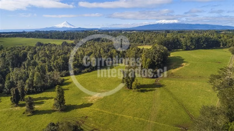 Maravilloso loteo parcelas en venta en Puerto Varas