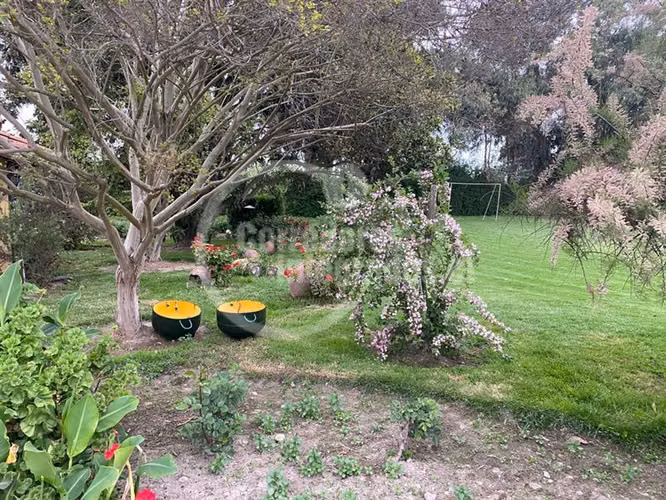 Agrícola,con dos casas en venta, piscina ,tenis en Peñaflor