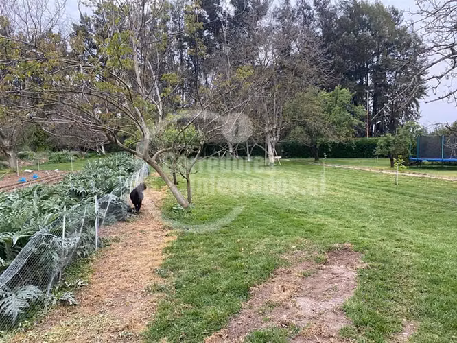 Agrícola,con dos casas en venta, piscina ,tenis en Peñaflor