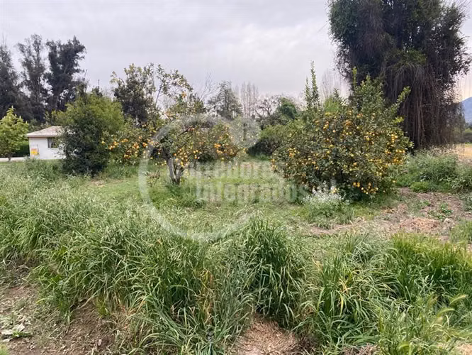 Agrícola,con dos casas en venta, piscina ,tenis en Peñaflor