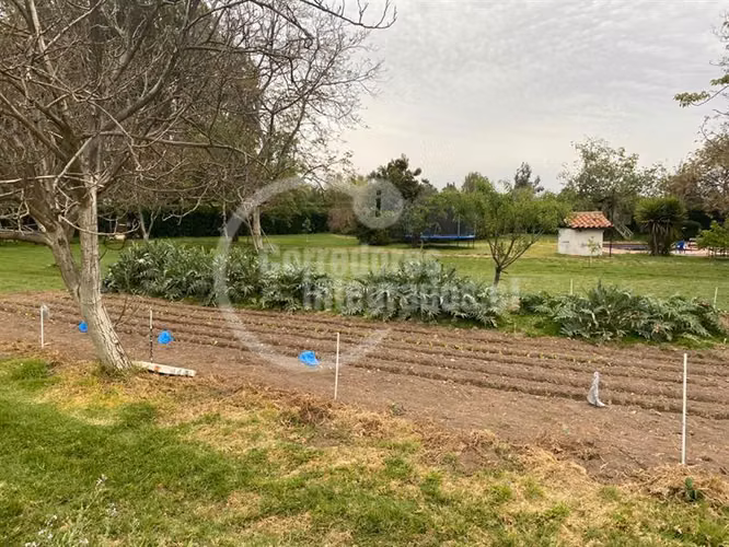 Agrícola,con dos casas en venta, piscina ,tenis en Peñaflor