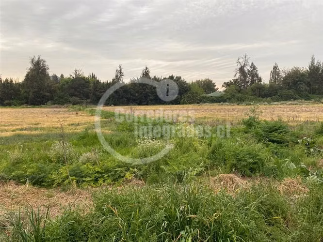 Agrícola,con dos casas en venta, piscina ,tenis en Peñaflor