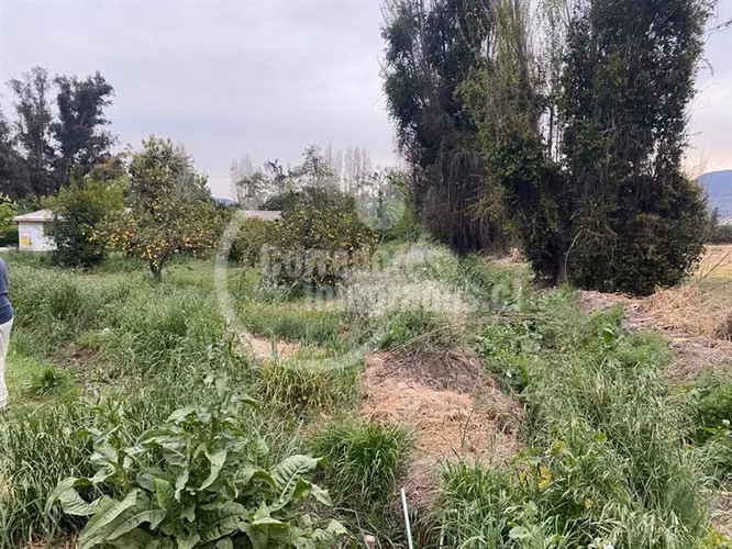 Agrícola,con dos casas en venta, piscina ,tenis en Peñaflor
