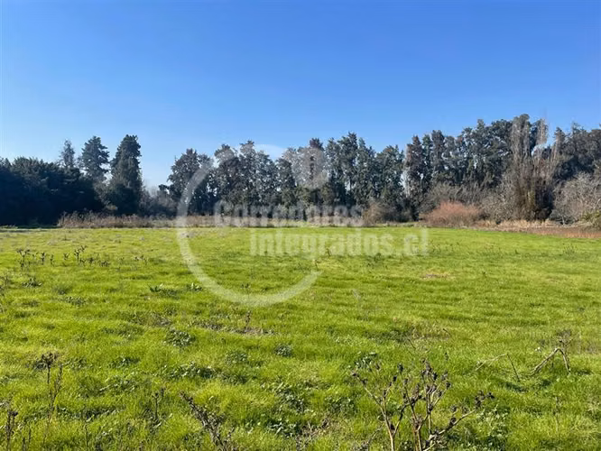 Agrícola,con dos casas en venta, piscina ,tenis en Peñaflor