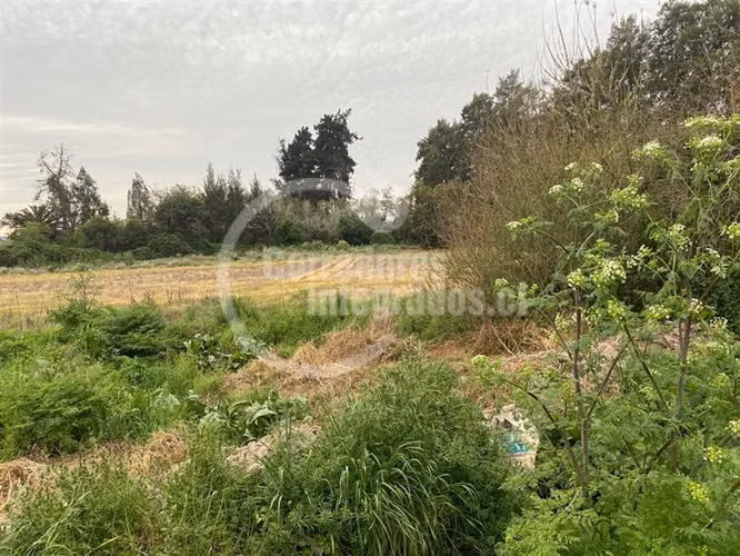 Agrícola,con dos casas en venta, piscina ,tenis en Peñaflor
