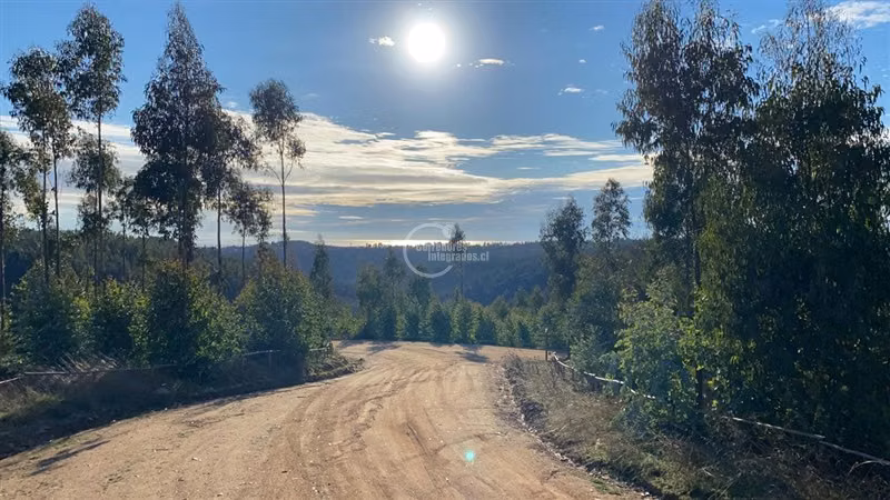Consolidado Condominio, seguridad, caminos, agua, naturaleza