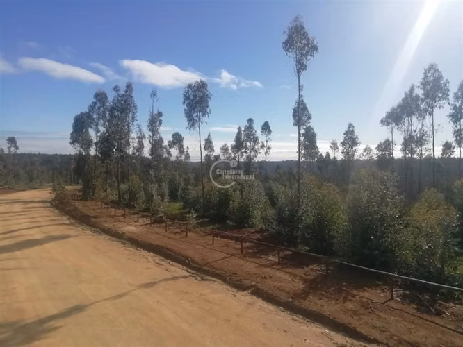 Consolidado Condominio, seguridad, caminos, agua, naturaleza