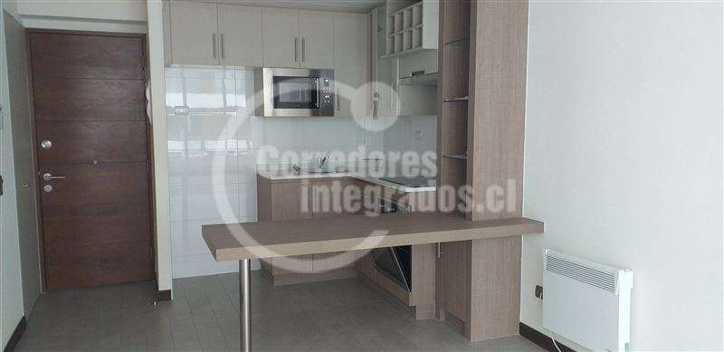 Excelente inversión, arrendado, 2D +2B, estac, bod, piscina,
