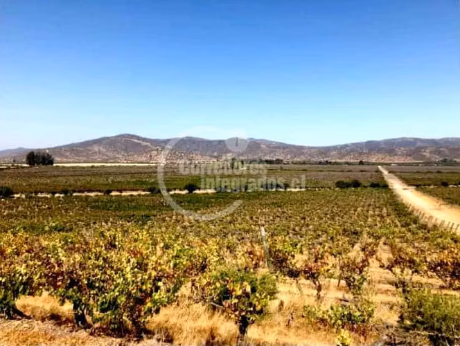 Agrícola en venta en San Pedro