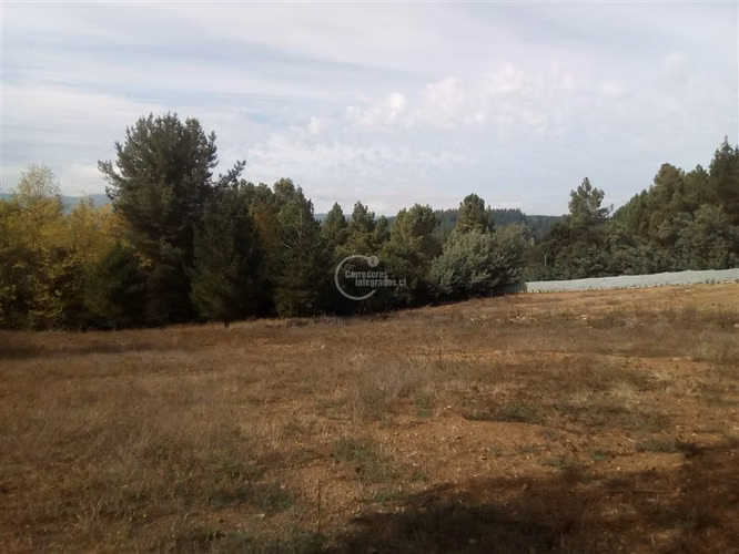 Parcela venta en Parral 2 cabañas a pasos Termas de Catillo - Imagen 19