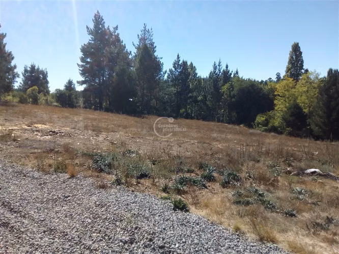 Parcela venta en Parral 2 cabañas a pasos Termas de Catillo - Imagen 11