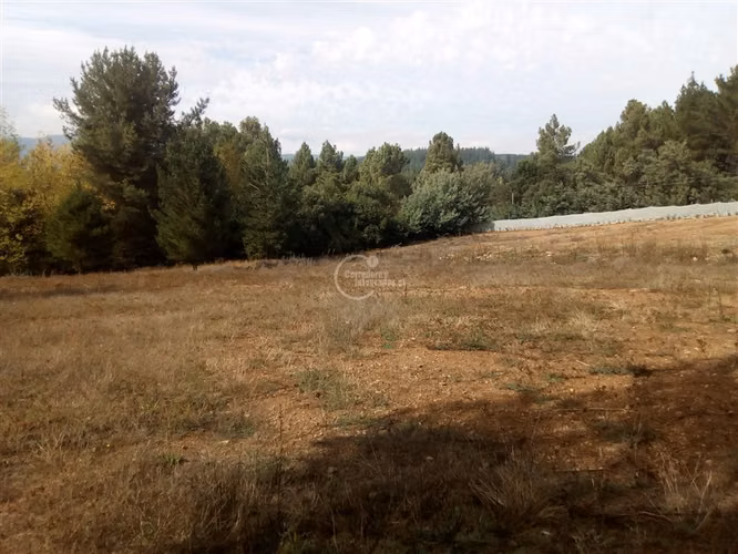 Parcela venta en Parral 2 cabañas a pasos Termas de Catillo - Imagen 20