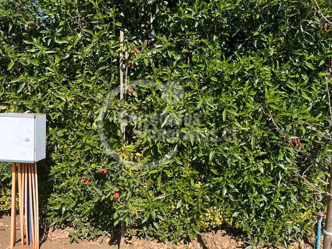 Sitio en venta en Santo Domingo