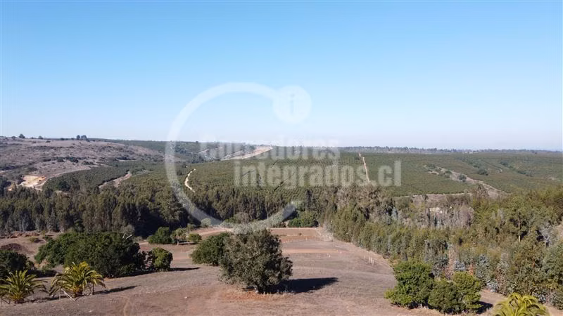 Parcela Santo Dgo. Sur, condominio cerrado, urbanizado FM - Imagen 3