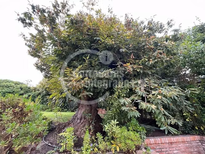 Casa en venta de 6 dorm. en Santo Domingo