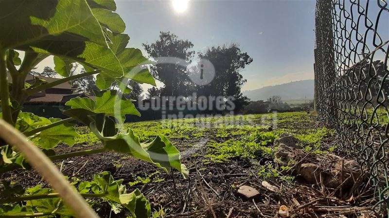 Sitio en venta en Santo Domingo - Imagen 12