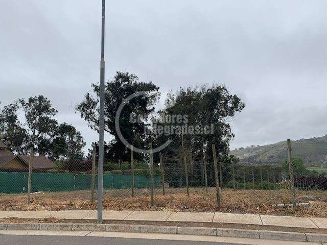 Sitio en venta en Santo Domingo - Imagen 6