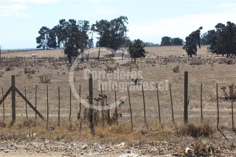 Industrial en venta en Cartagena