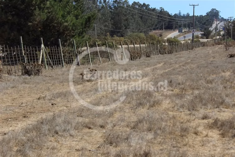 Industrial en venta en Cartagena