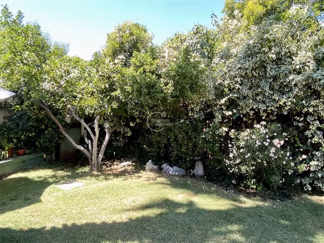 Casa en venta 5 dorm. en Ñuñoa, precioso jardín, remodelada