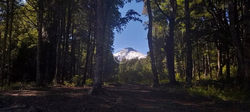 Excelente Parcela en Venta en Pucón