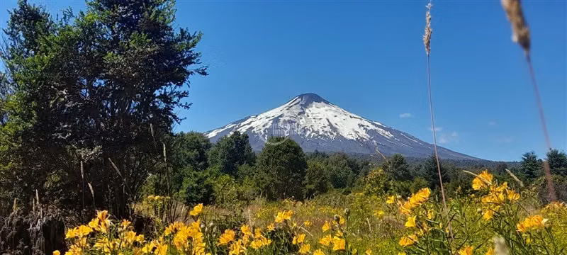 Excelente Parcela en Venta en Pucón