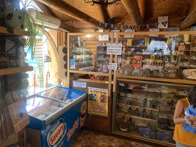 Local Comercial con casa en venta en Puerto Varas