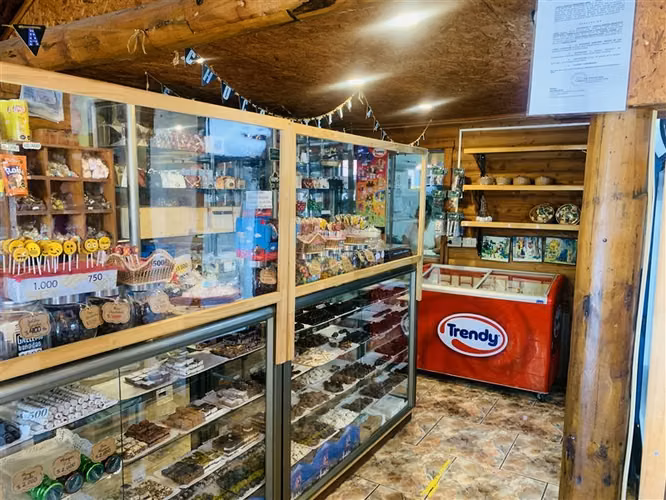 Local Comercial con casa en venta en Puerto Varas