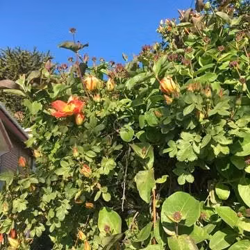 Casa en Venta en Punta Arenas