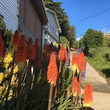 Casa en Venta en Punta Arenas