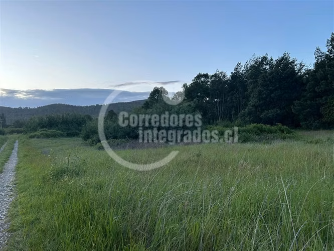 Sitio en venta en Lanco Precioso
