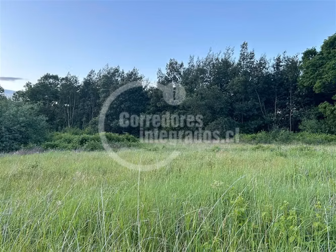 Sitio en venta en Lanco Precioso
