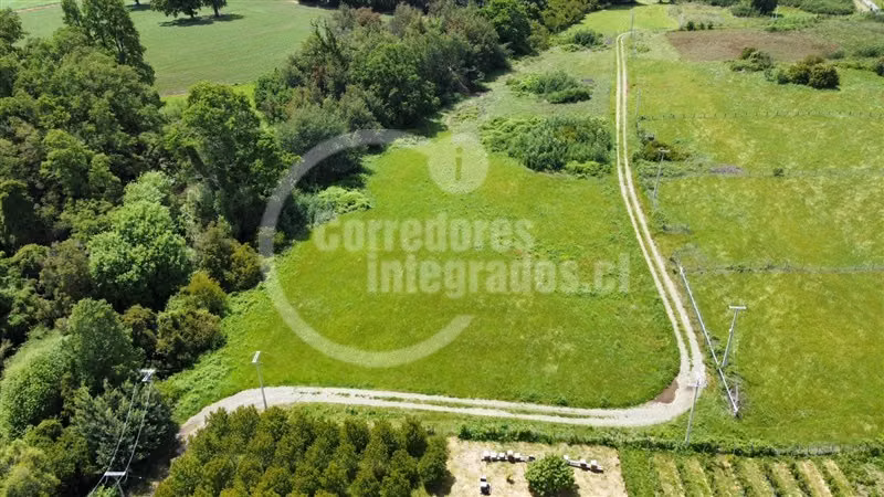 Sitio en venta en Lanco Precioso