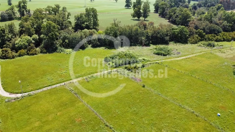 Sitio en venta en Lanco Precioso