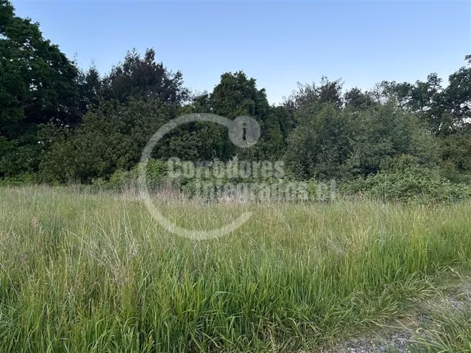 Sitio en venta en Lanco Precioso