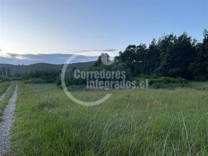 Sitio en venta en Lanco Precioso