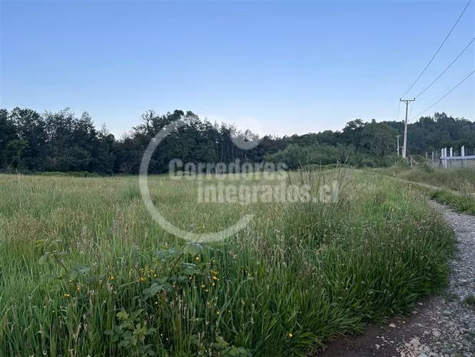 Sitio en venta en Lanco Precioso