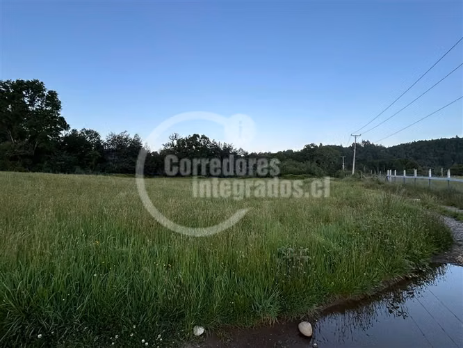 Sitio en venta en Lanco Precioso