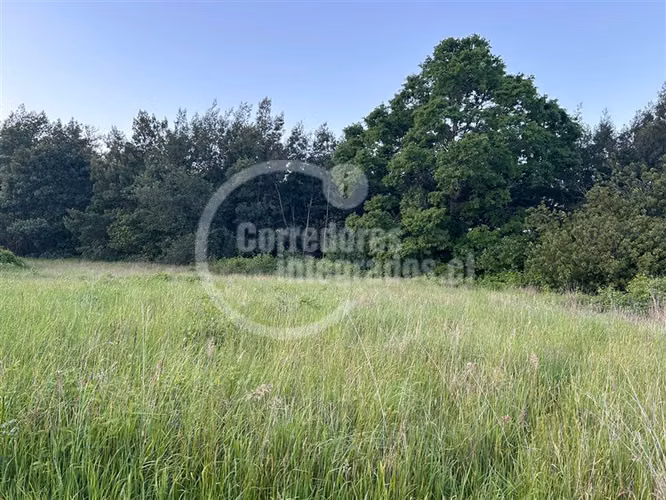 Sitio en venta en Lanco Precioso