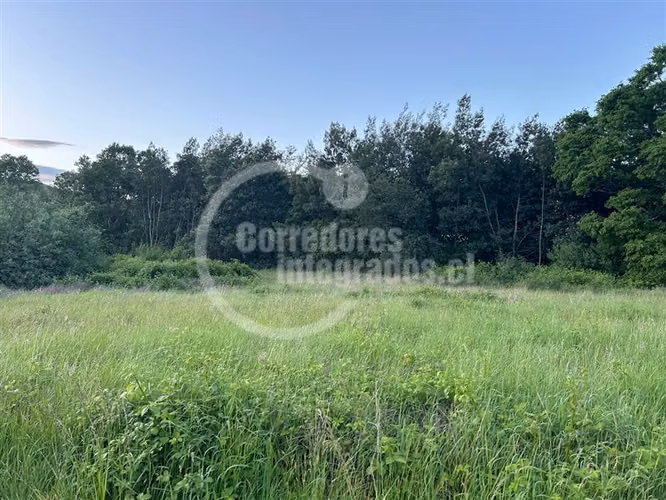 Sitio en venta en Lanco Precioso