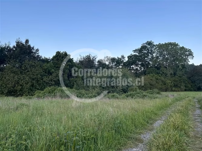 Sitio en venta en Lanco Precioso