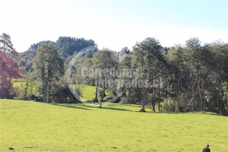 Parcela en venta en Los Muermos Puerto Varas