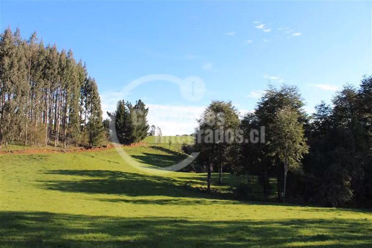 Parcela en venta en Los Muermos Puerto Varas