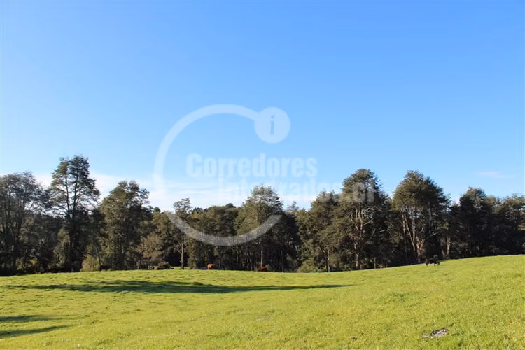 Parcela en venta en Los Muermos Puerto Varas