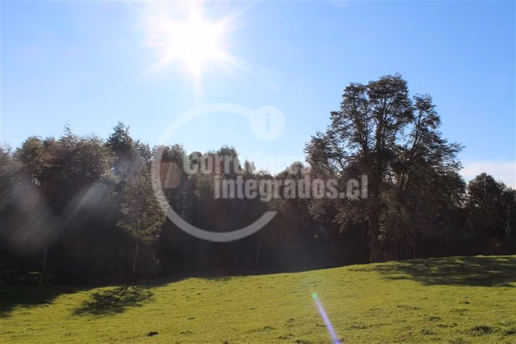 Parcela en venta en Los Muermos Puerto Varas